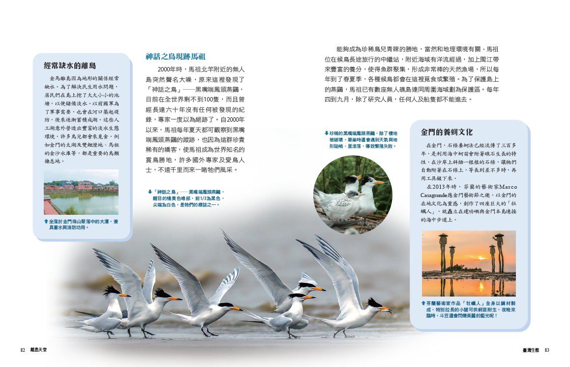 少年讀台灣：認識歷史、地理與生態(全套3冊)