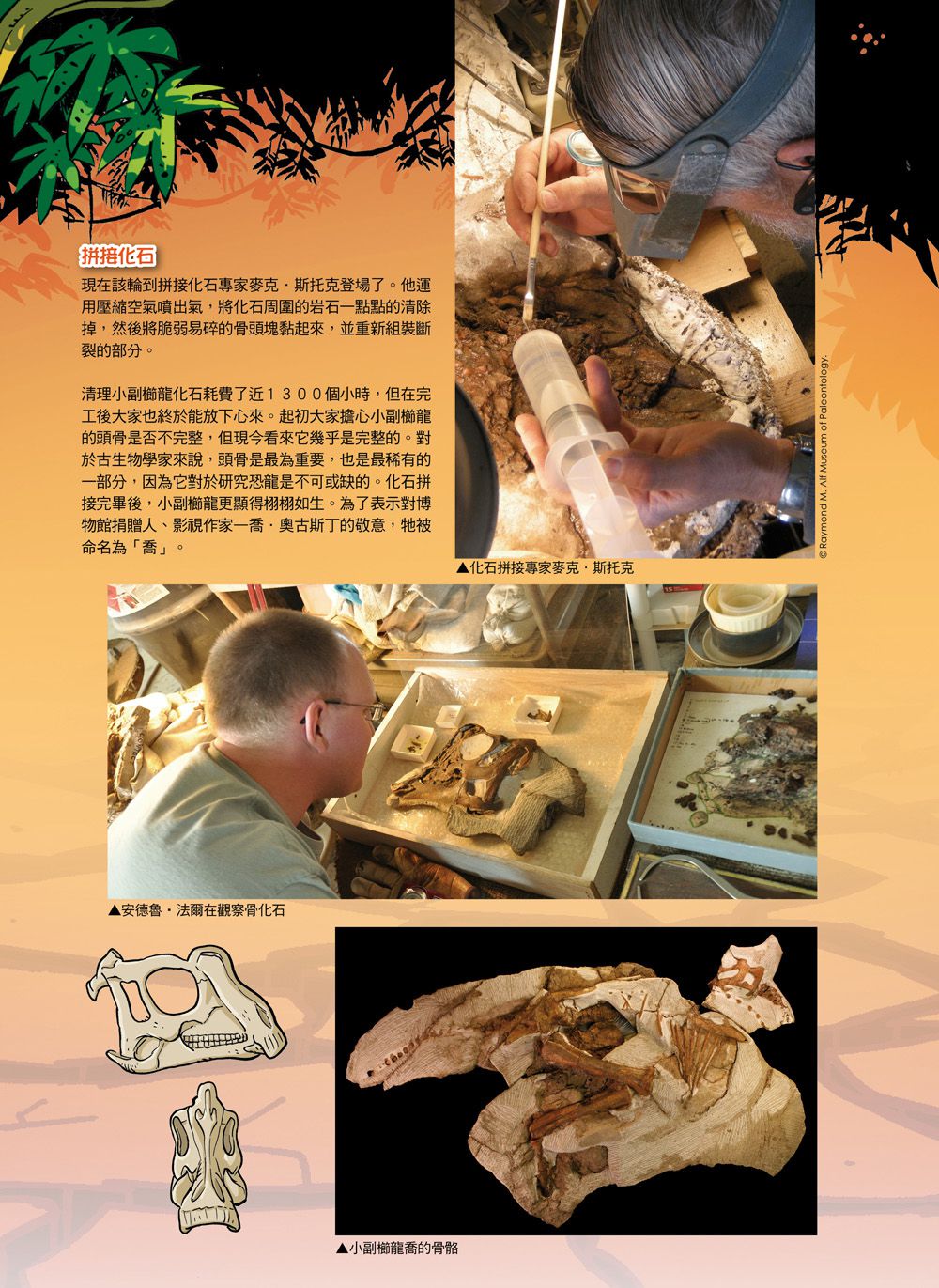 Dinosaurs爆笑恐龍漫畫4：愛看熱鬧而丟了小命的恐龍！