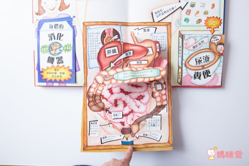 身體原來是這樣