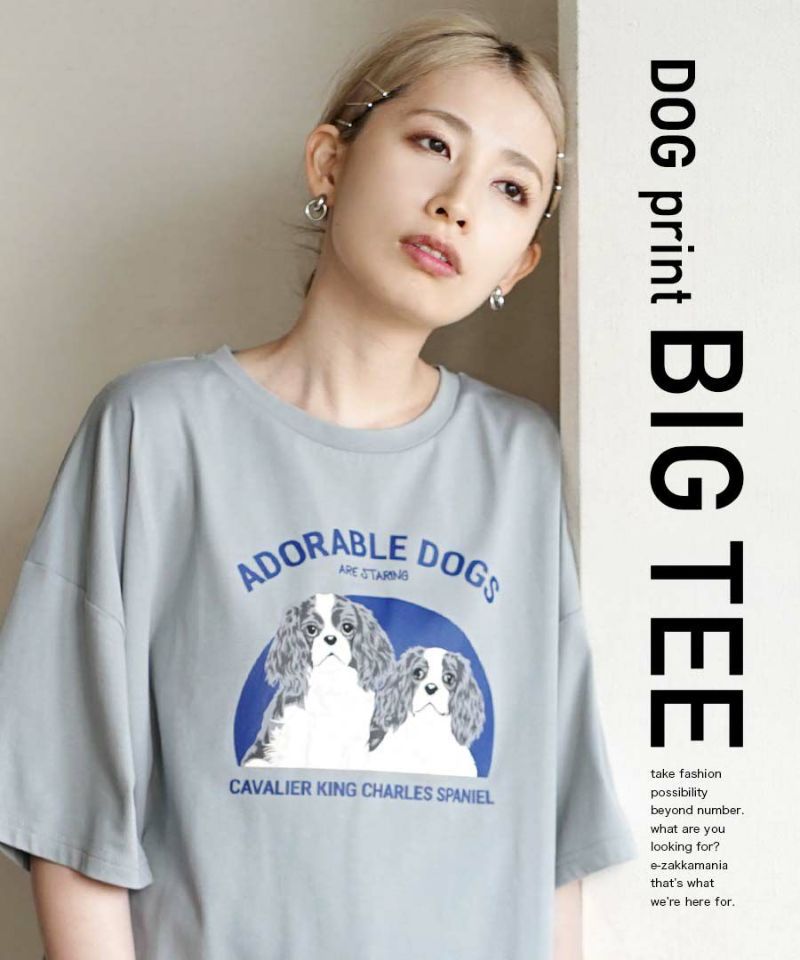 日本 zootie - 棉混落肩狗狗印花短T-白