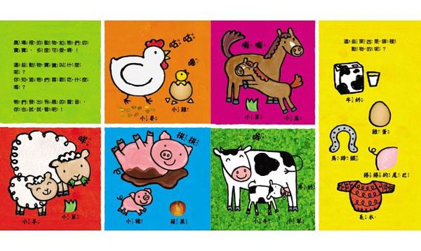 童夢館 - 凱蒂的動物書