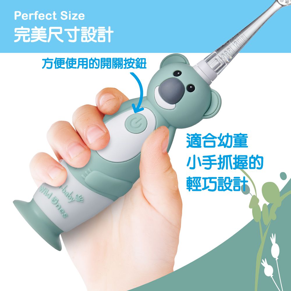 英國 brush-baby - 充電式聲波電動牙刷-無尾熊-凱莉-0-10歲