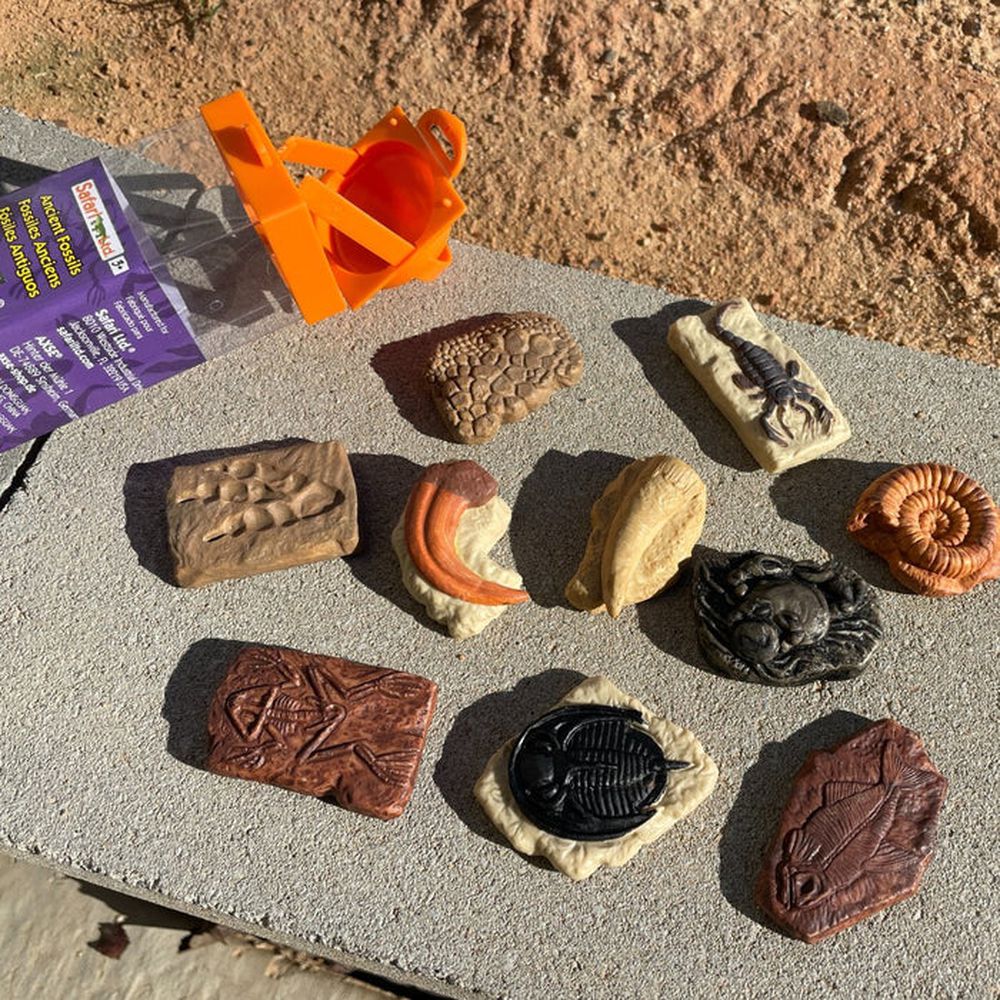 [Safari] 684804 古化石迷你模型筒