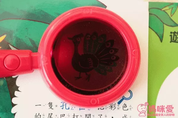 華碩文化 神奇的放大鏡-動物奇觀