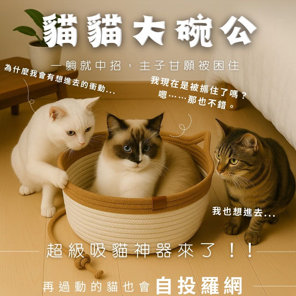 天然蒲草貓貓大碗公-綠灰混織