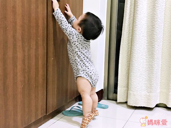 英國 POCO NIDO - 寶寶手工鞋/學步鞋-快樂小獅