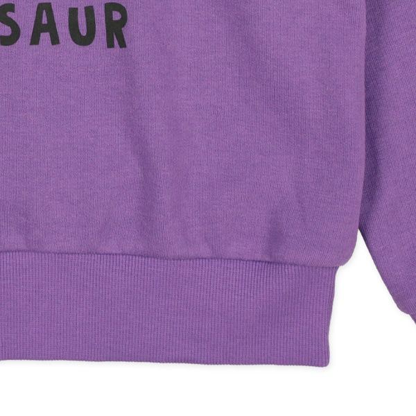 日本西松屋 - 裏毛圓領印花長袖上衣-迅猛龍-米白