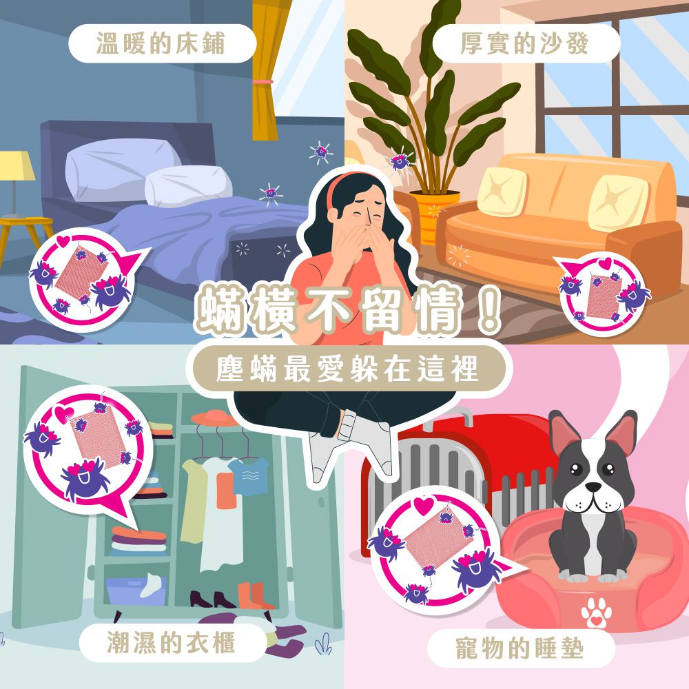 KINCHO 日本金鳥 - 捕蹣蟲貼紙三枚入