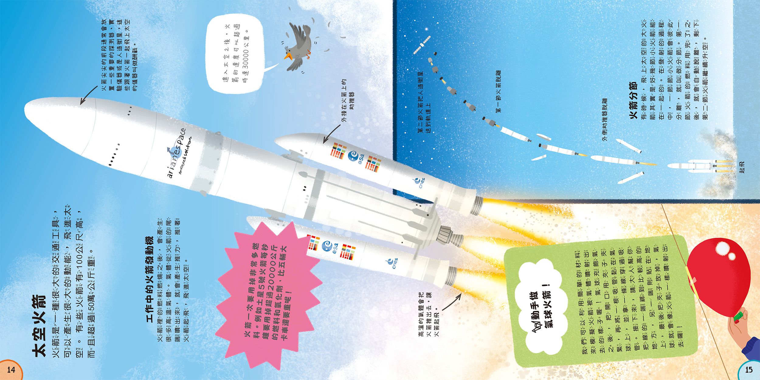 小小知識家的百科書套書10冊(書盒版)