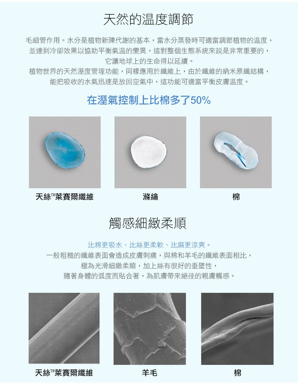 鴻宇 HongYew - 晨曦天絲被 奧地利天絲 冬被 台灣製-雙人6X7