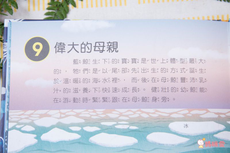 10理由讓你愛上動物！【閣林文創 】生命教育最佳入門書 / 環遊世界之旅 / 恐龍繪本♕大孩子一定要入手的暢銷套書！