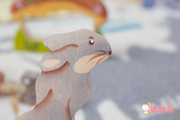 【淳木童話】質感家家酒木玩 ❤ 蒙特梭利／英語老師愛用！