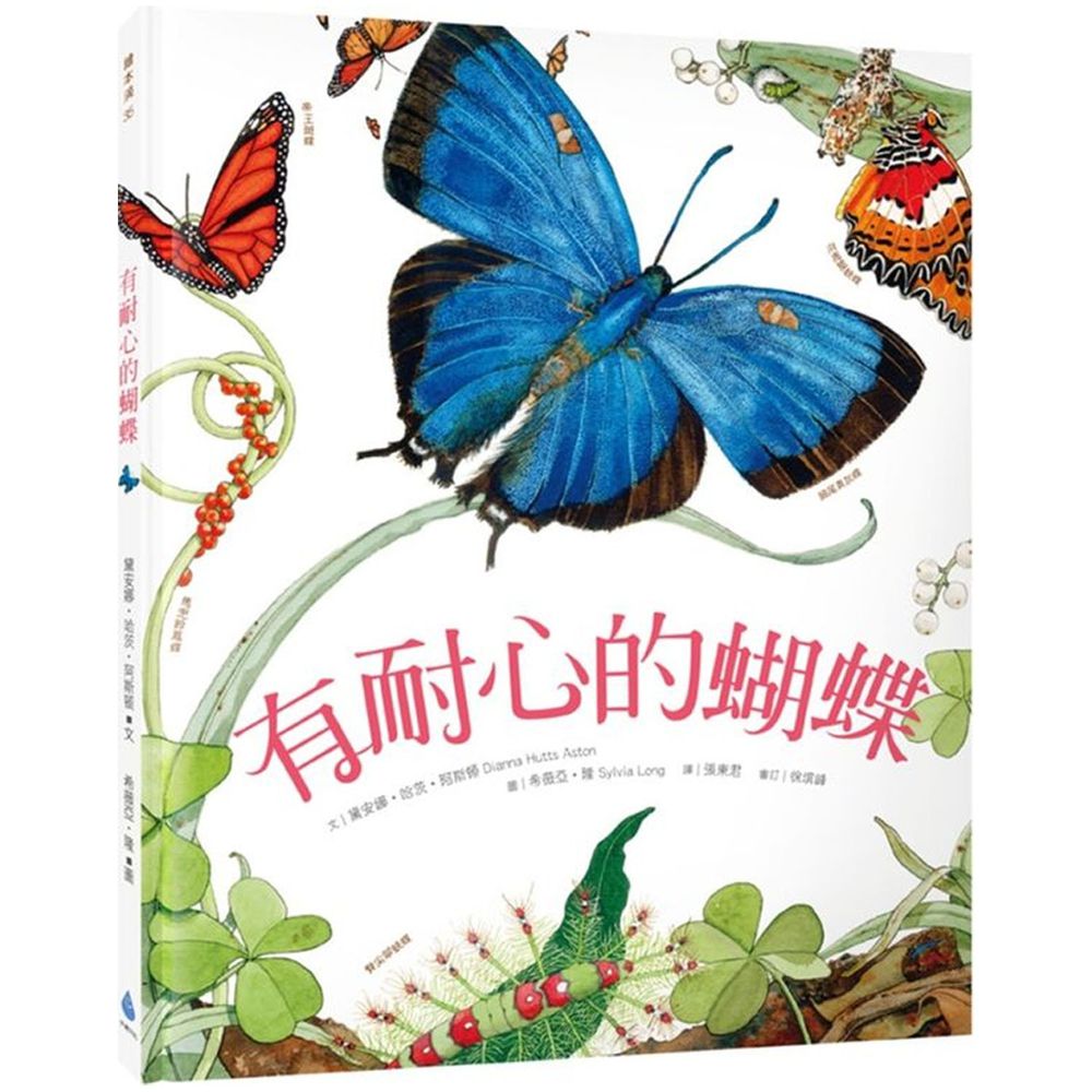 有耐心的蝴蝶