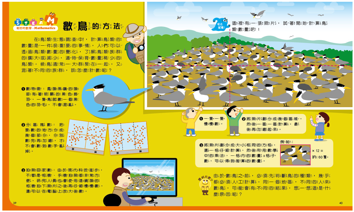 孩子的第一套STEAM繪遊書10 終於再見神話之鳥：看生物學家如何解開燕鷗的祕密(108課綱科學素養最佳文本)