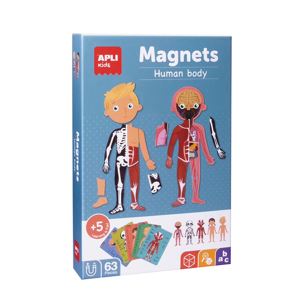 西班牙 APLI - 人體結構讀一讀