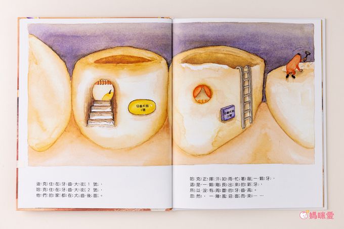 幼兒早教必備！【双美生活】認知大圖卡