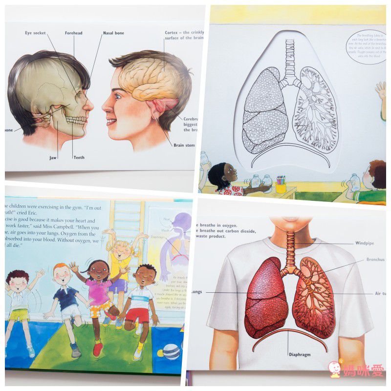 Alligator Books - A Magic Skeleton Book 6 Books