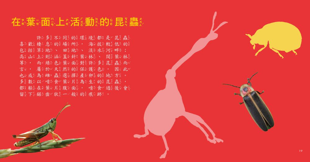 我的第一本昆蟲博士小百科NEW-內含小百科+12款昆蟲學習模型及3個配件