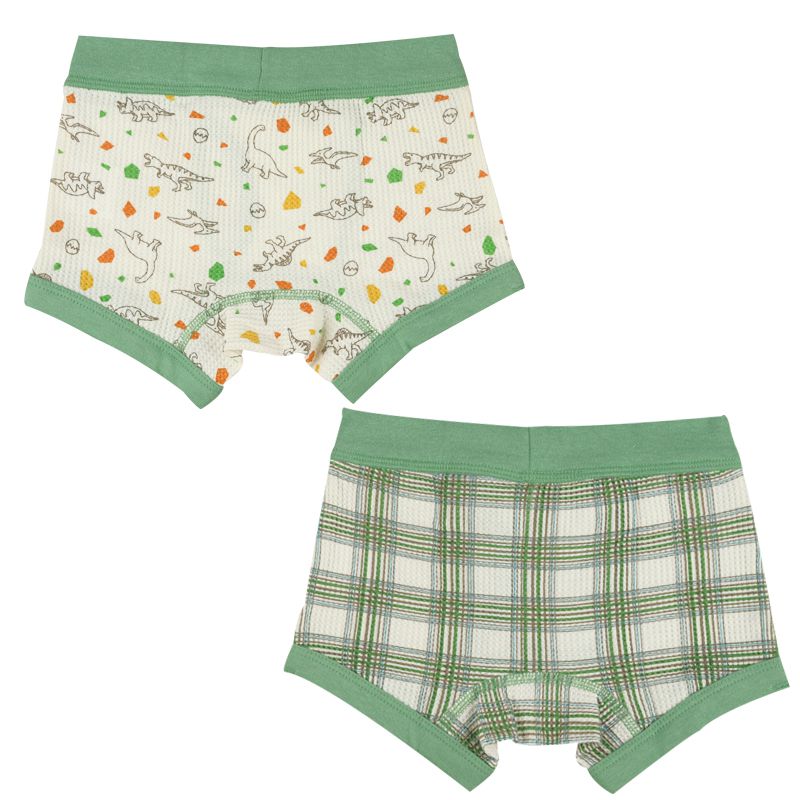 akachan honpo - 四角褲2件組-恐龍、格紋-綠色