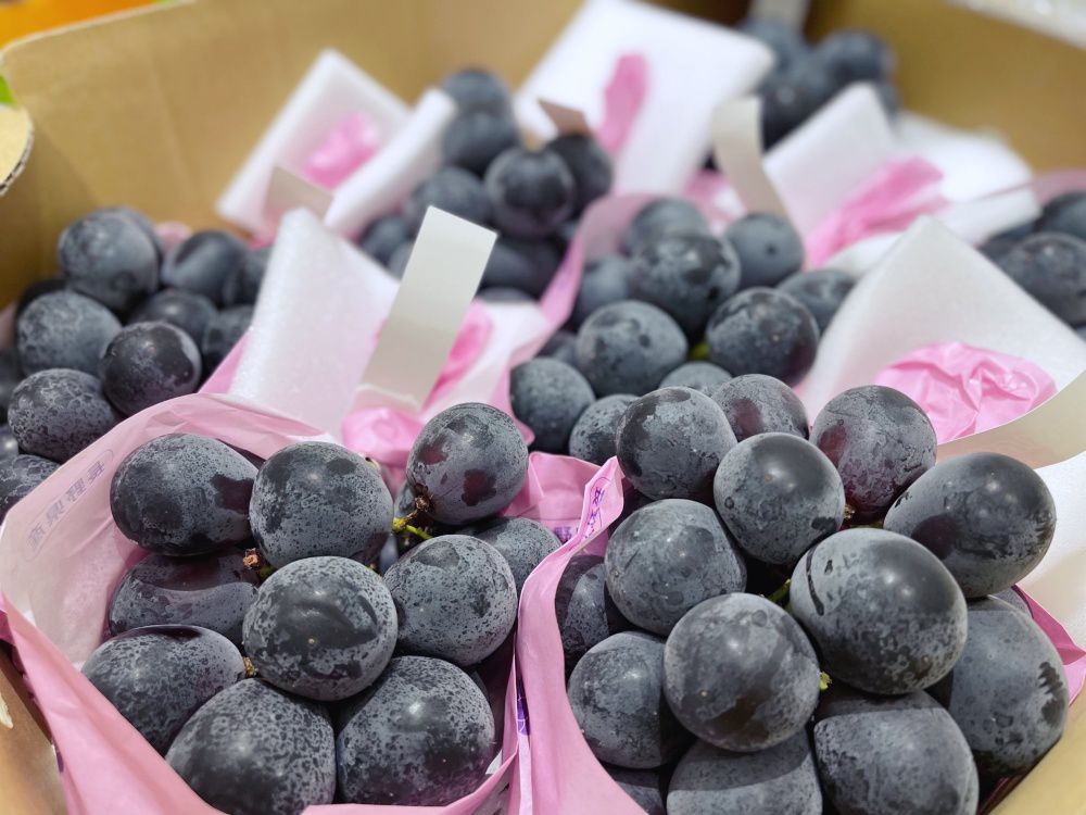 空運直送！精品等級【日本山梨麝香葡萄、長野紫葡萄】