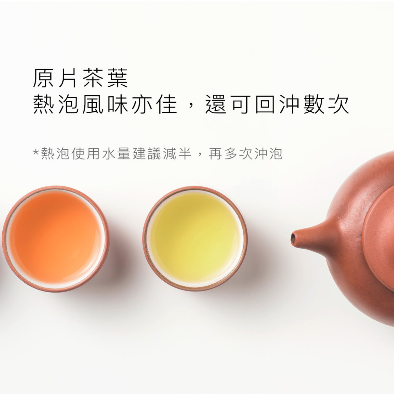 Dripoドリポ - 冷泡茶熱銷組合-C-大梔子花綠茶*2＋冷泡水壺 【 L 】