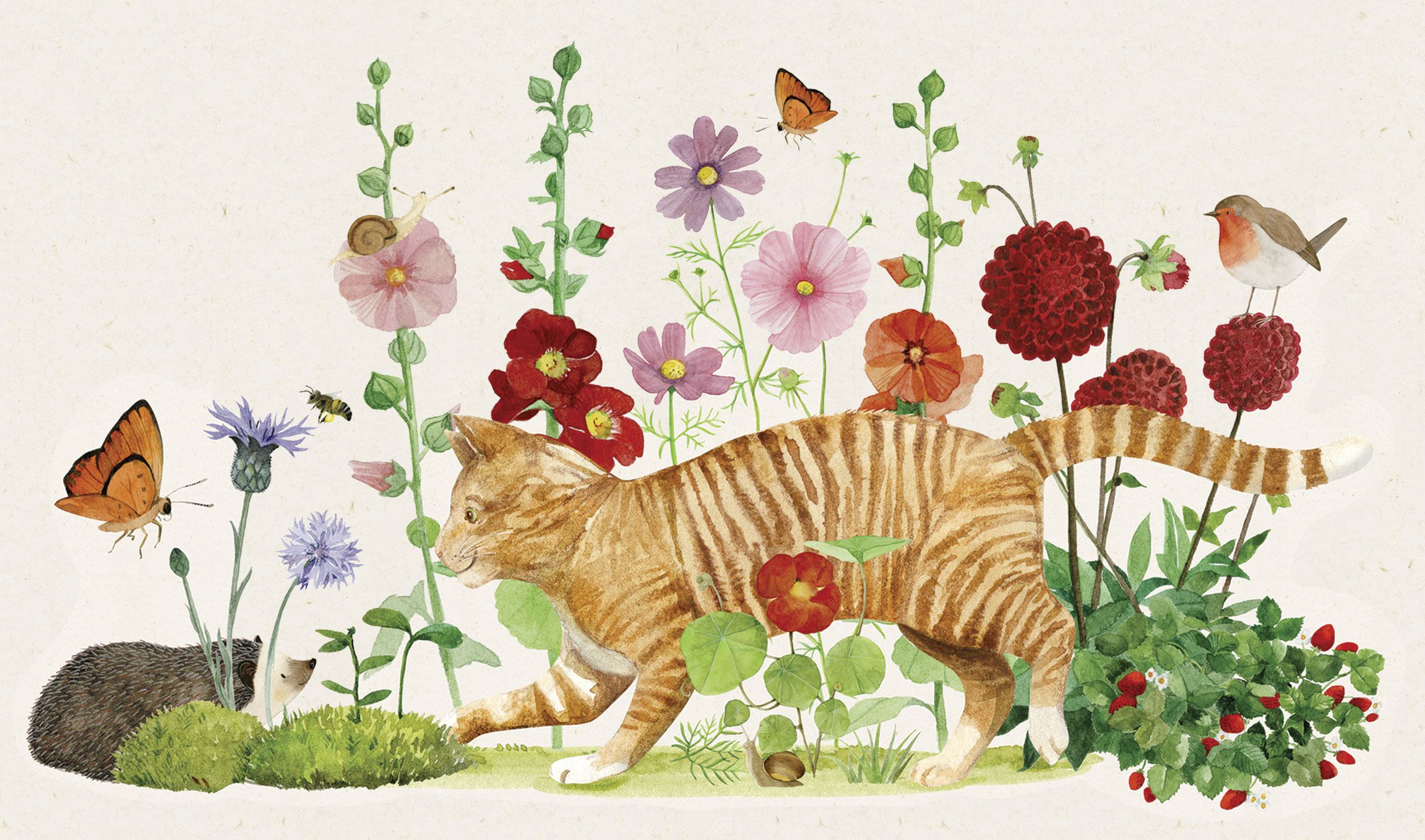 Moulin Roty - 故事手電筒精裝組-四季