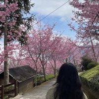 用戶頭像