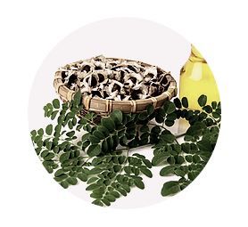 加拿大 ATTITUDE 艾特優 - Super leaves泡沫洗手乳- 橄欖葉-295ml