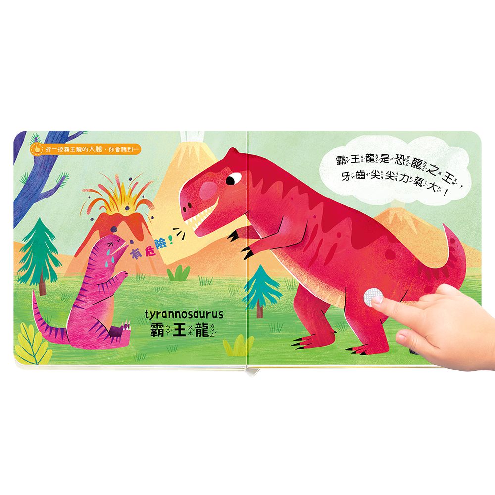 【白袍聯盟】這是什麼聲音 有聲書系列 (全套6冊)