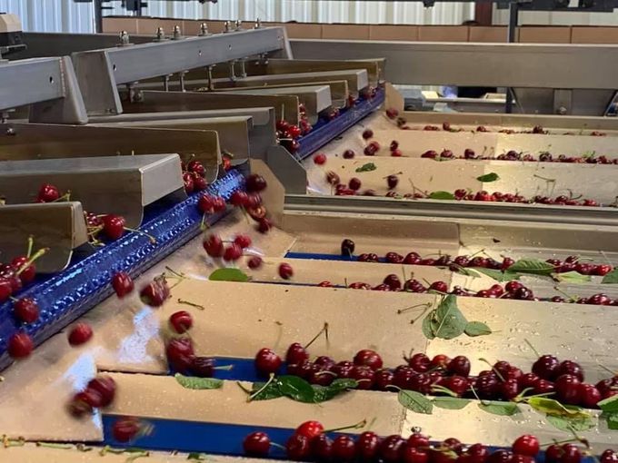 果子禮 - 超值優惠!!智利28-30mm(2J)紅寶石櫻桃含箱重1kgX2盒-(淨重850克/盒)