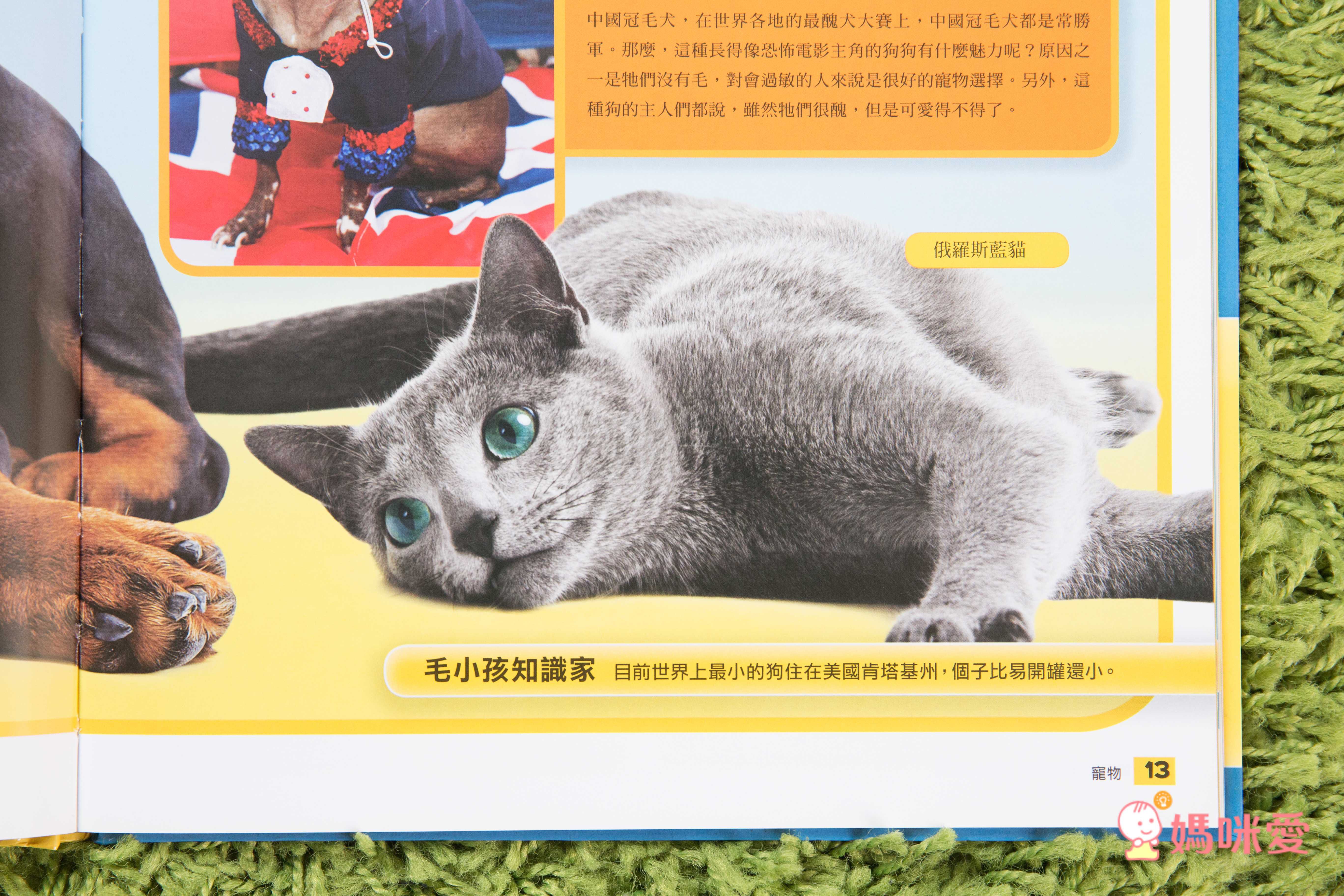 國家地理兒童百科：寵物 (精裝 / 63頁 /全彩印刷)