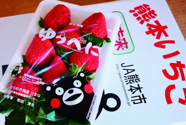 草莓界的夢幻逸品！熊本草莓空運直送 ❤ 濃濃甜香、果肉飽滿細緻