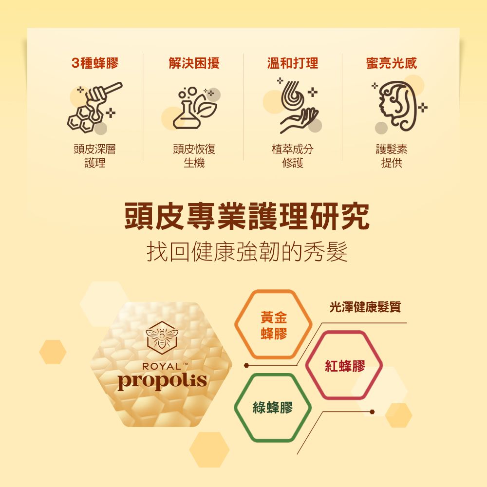 KERASYS可瑞絲 - 蜂膠活力光澤洗髮精-1000ml-3款可選 頭皮調理洗髮精-紅蜂膠 (單入)-1000ml