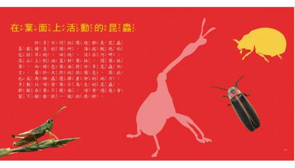 樂智屋 - 我的第一本昆蟲博士小百科NEW（內含小百科+12款昆蟲學習模型及3個配件）