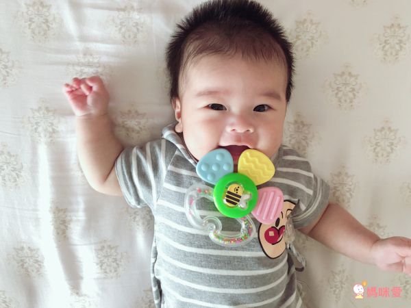 日本 Combi - 蜜蜂花瓣固齒玩具-3個月起