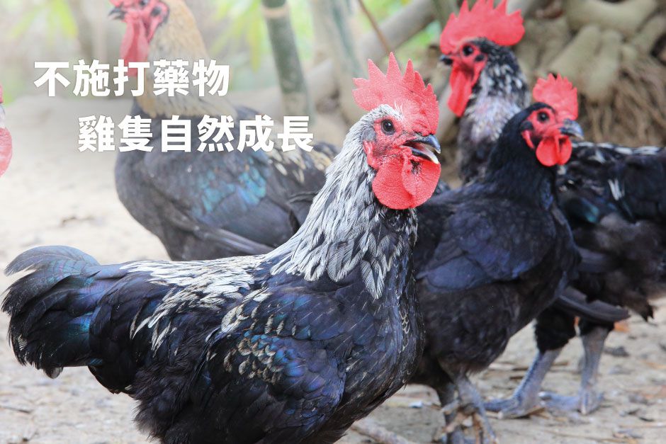 低醣安心食材【安永鮮物】新鮮豬肉片 / 里肌肉排 / 雞胸肉丁