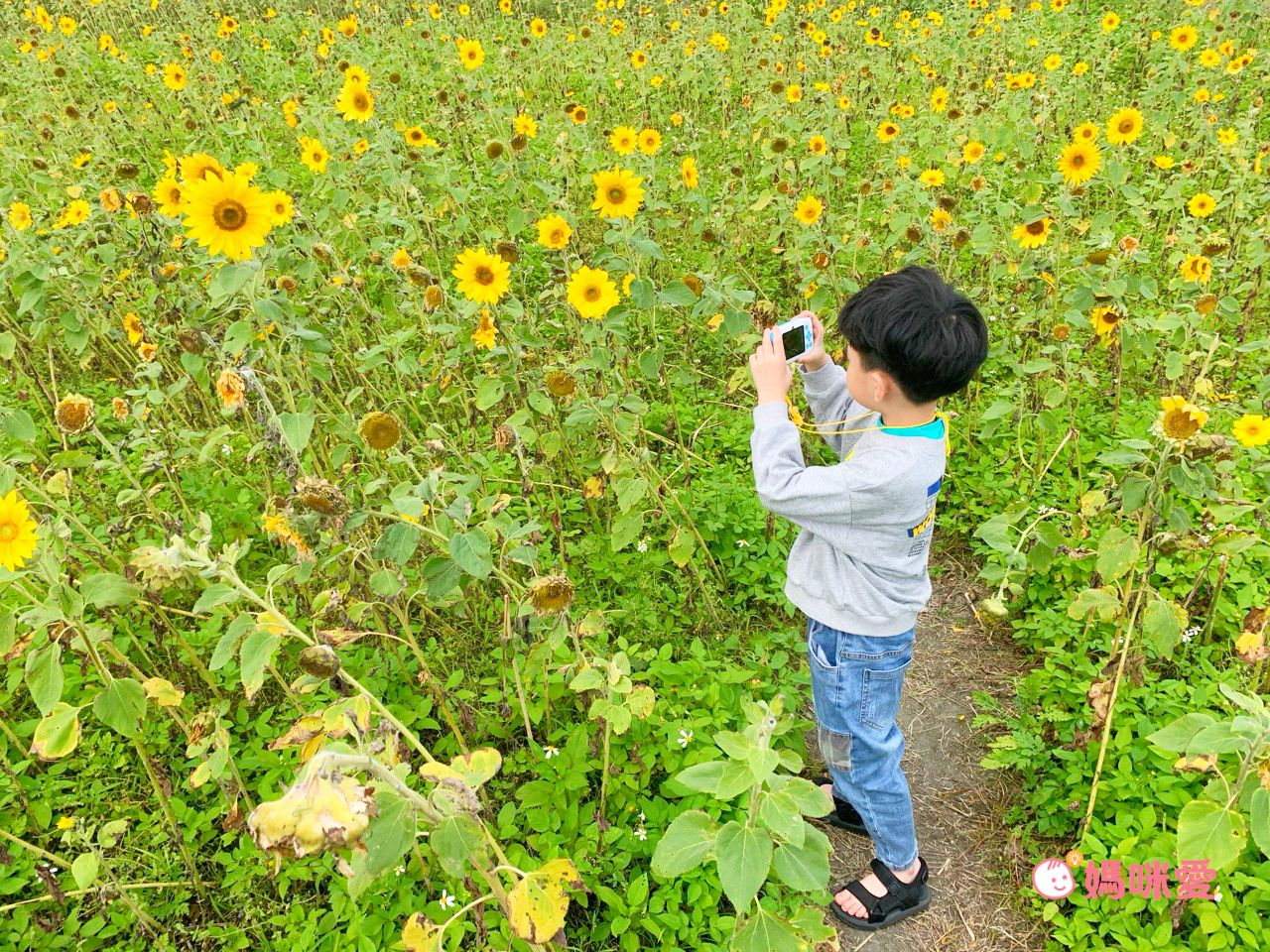 新品上市！【人氣卡通授權兒童相機】汪汪隊、角落生物