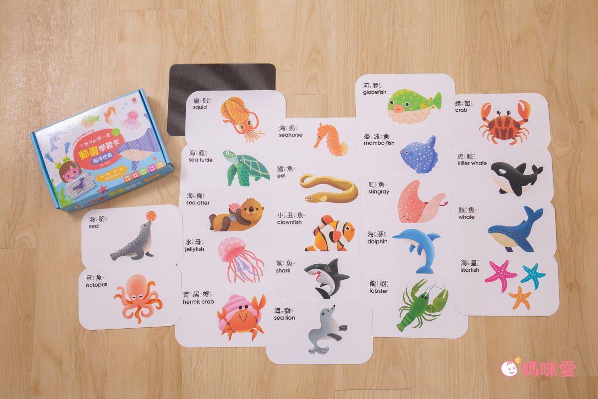 在家輕鬆玩實驗《STEAM 實驗魔法盒》，成為小小科學家好簡單！