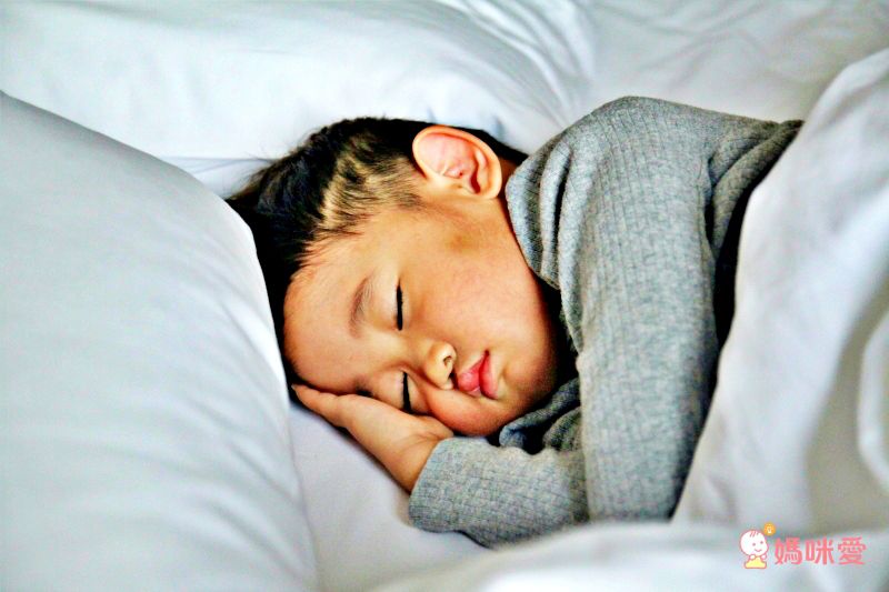 台中大毅老爺行旅 綠光客房兩大一小↘3000起