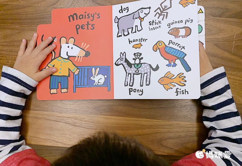 小鼠波波陪你慶生、過聖誕！最應景的外文遊戲書