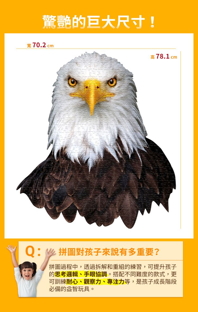Madd Capp - I AM 動物拼圖-550,我是老鷹