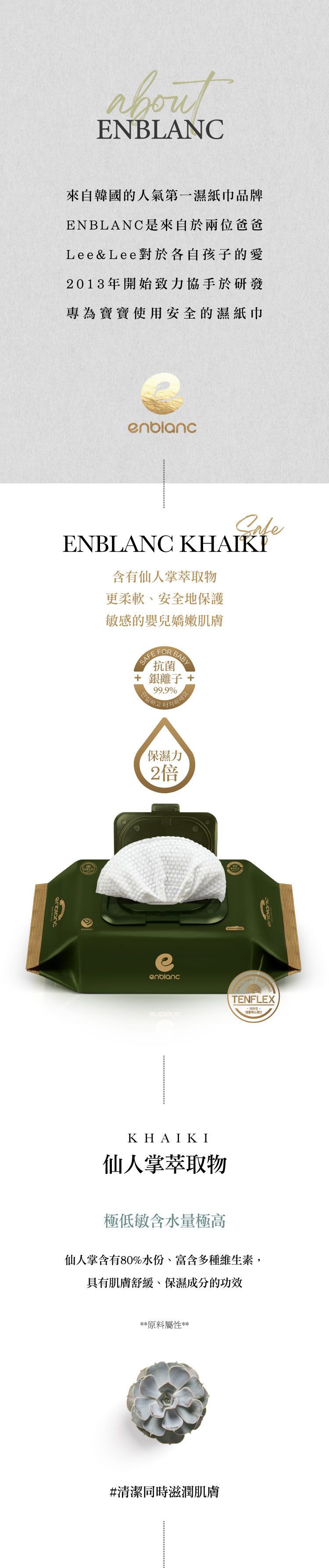 韓國 ENBLANC - 銀離子抗菌｜極厚仙人掌｜純水濕紙巾-有蓋大包-墨綠色-68抽10包