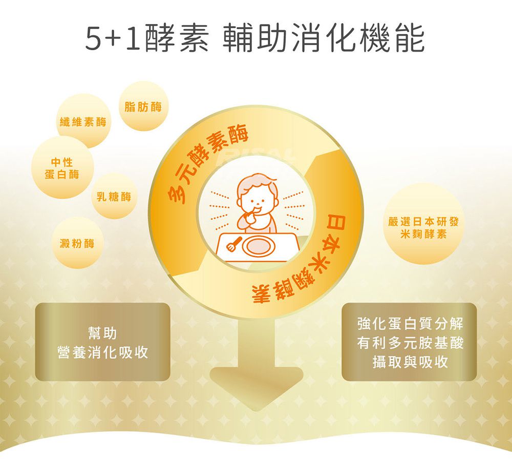 小兒利撒爾Risal - 食欲向上 蔬果消化酵素-45包/盒