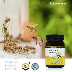 [紐西蘭] Enzergen® - 麥蘆卡蜂蜜UMF™ 10+-500公克