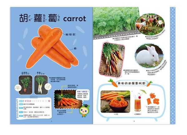 世一文化 - 地底蔬菜立體書