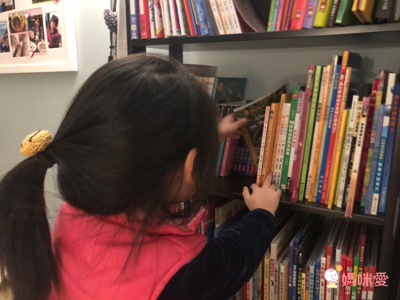 神奇樹屋中英雙語套書 1-55集-大全套