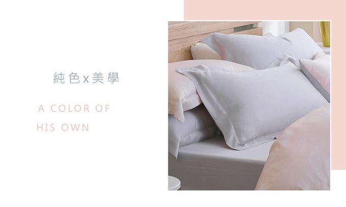 鴻宇 HongYew - 雙人兩用被套/ 天絲300織 / 素色 天絲 萊賽爾-克卜勒
