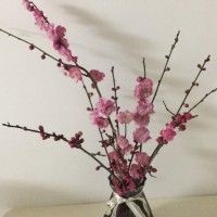 用戶頭像