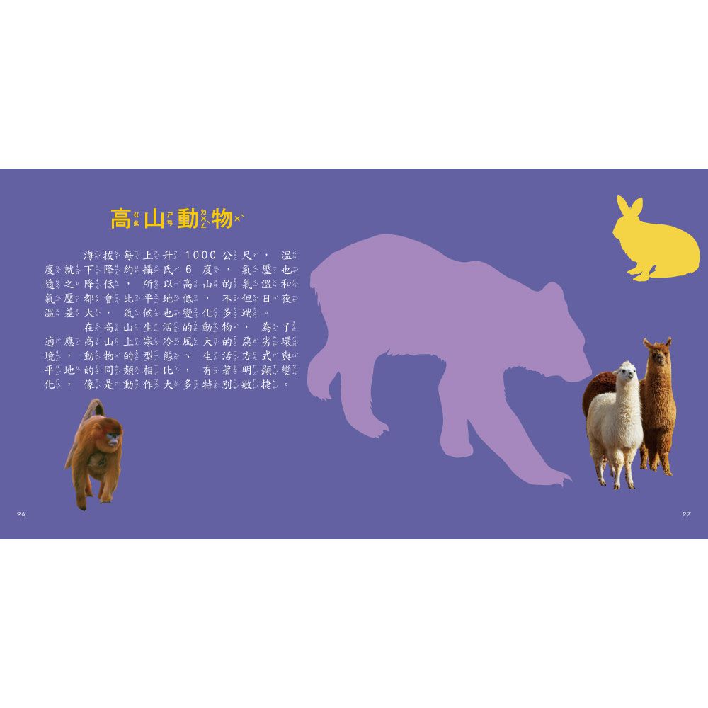 動物圖鑑小百科