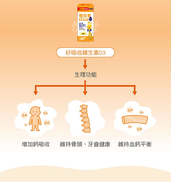 小兒利撒爾Risal - 綜合乳鐵-50包/盒*1+小魚球-60粒/瓶*1+維生素D3滴液-15ml/瓶*2+贈品-機能活菌12-7包/盒